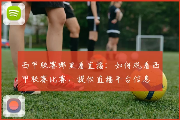 西甲联赛哪里看直播：如何观看西甲联赛比赛，提供直播平台信息