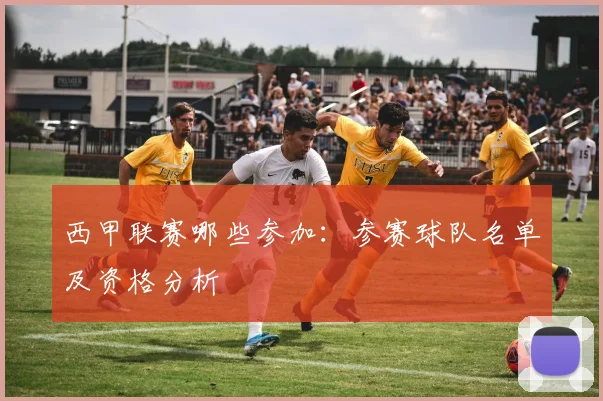 西甲联赛哪些参加：参赛球队名单及资格分析